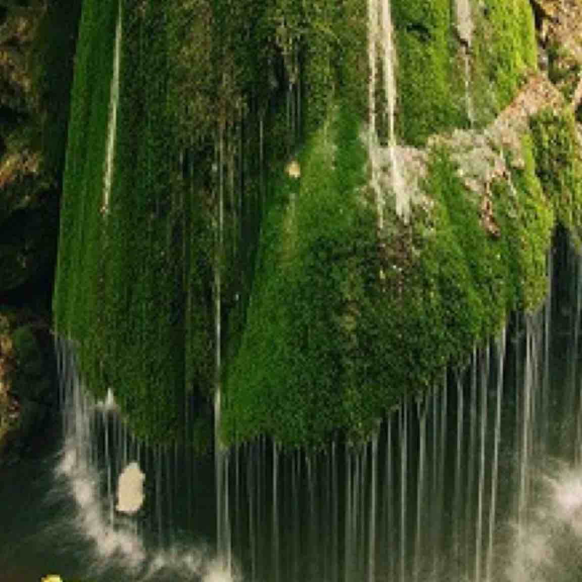 lương phương