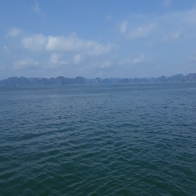 Bui Phong