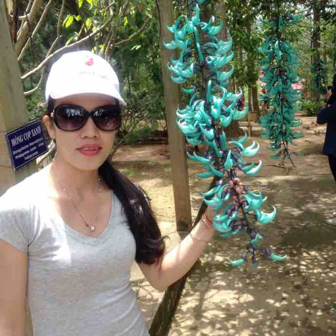 Kimanh Huynh