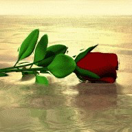 Cù Quốc Cường