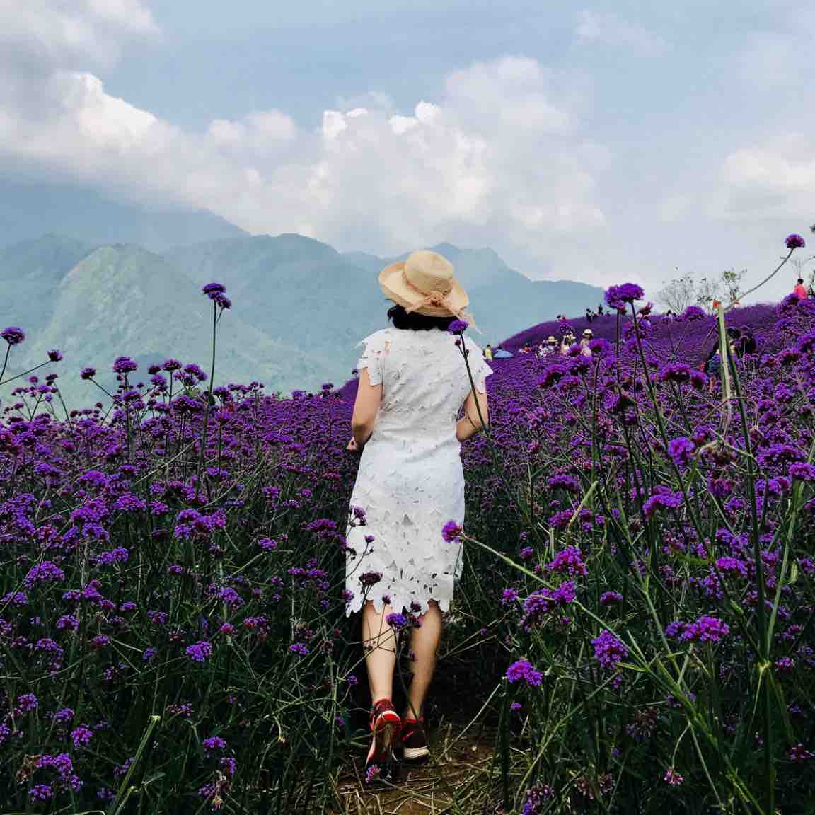 Phương Hoa