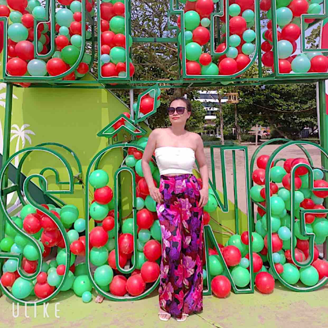 Mỹ Linh