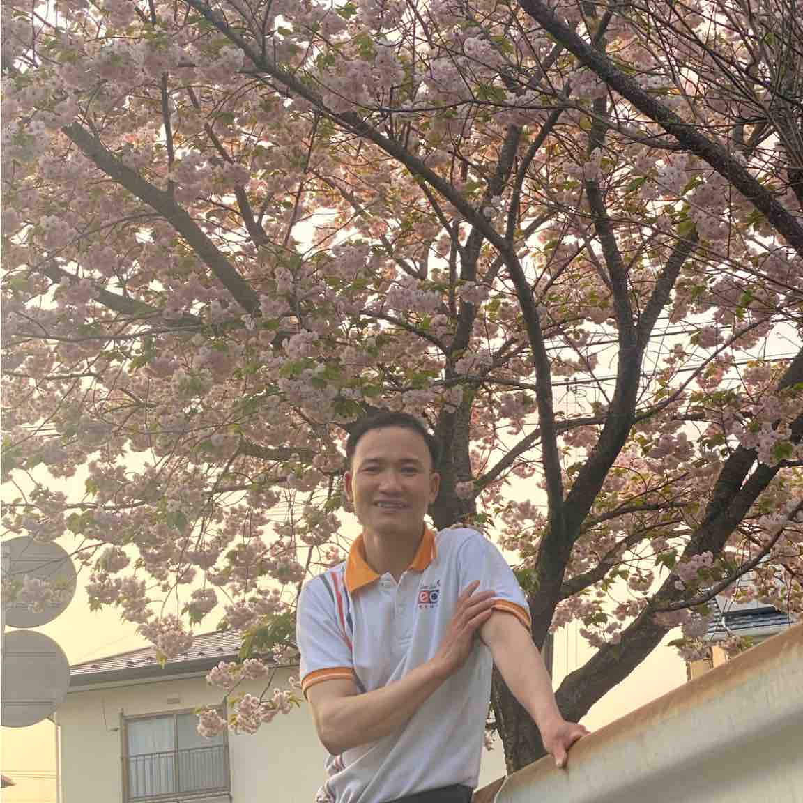Bảy Đặng quang