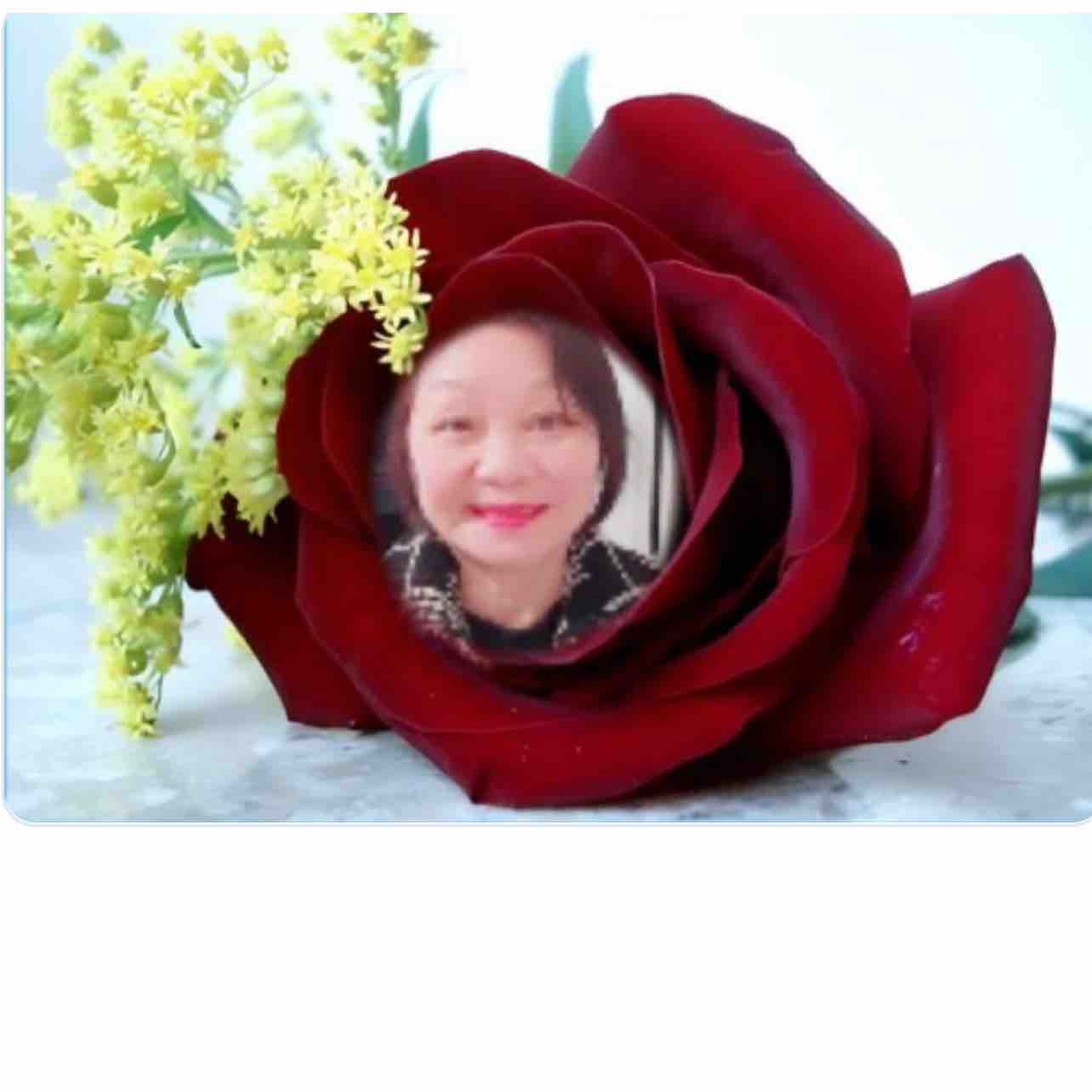 Hoa Nguyen