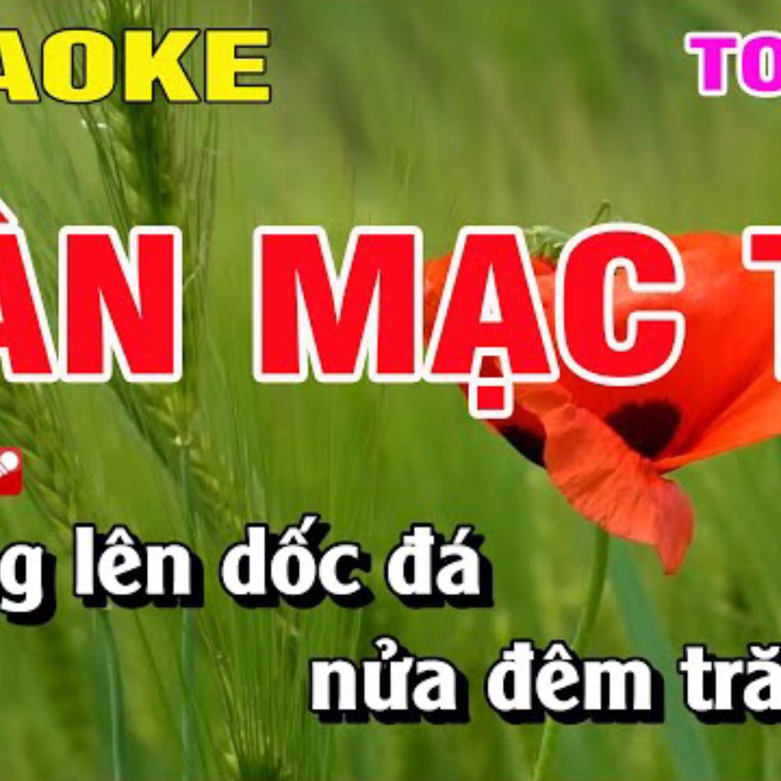 Karaoke Hàn Mặc Tử Tone Nữ Nhạc Sống | Nguyễn Linh
