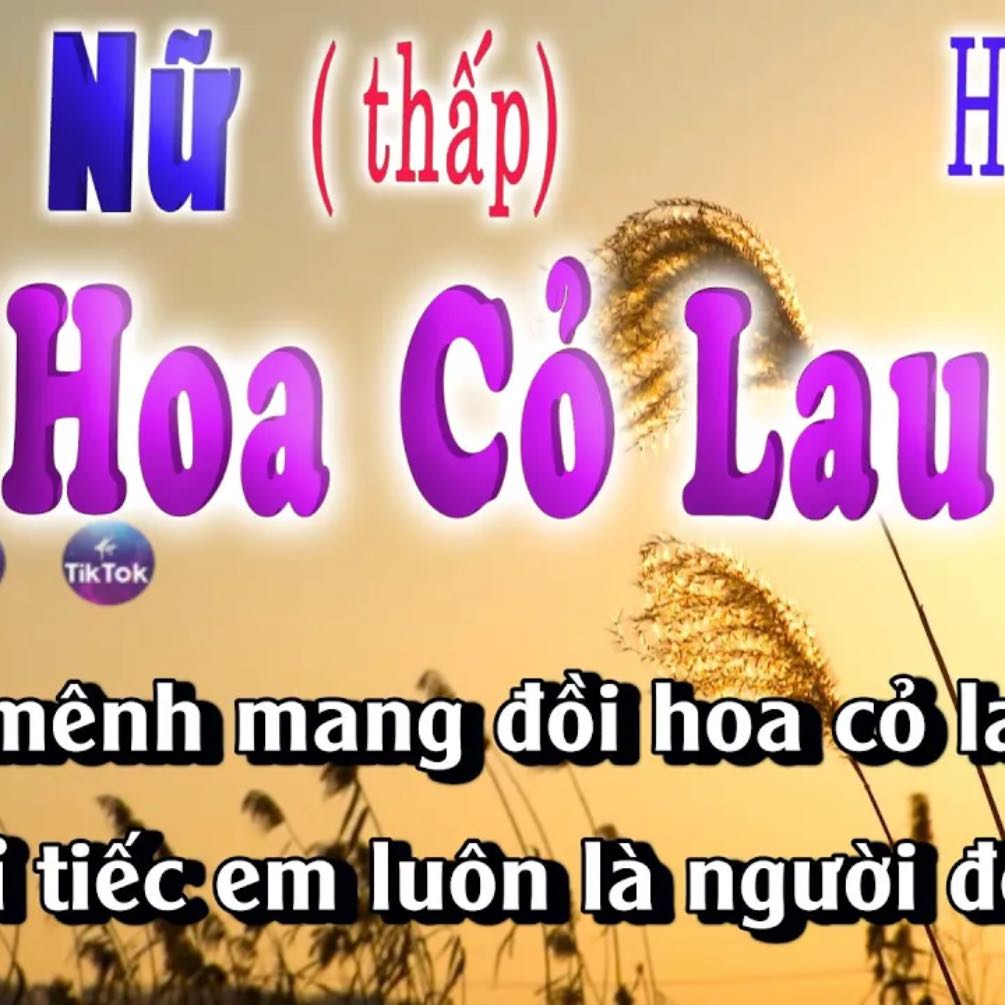Hoa Cỏ Lau karaoke Tone Nữ Thấp Phong Max Hot tiktok