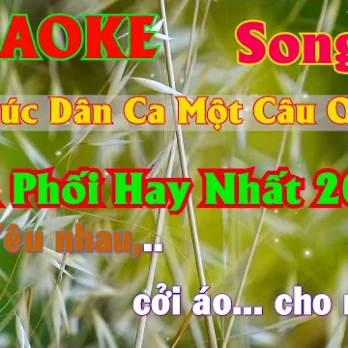 Một Khúc Đân Ca Một Câu Quan Họ | Karaoke | Song Ca Hay Nhất 2021