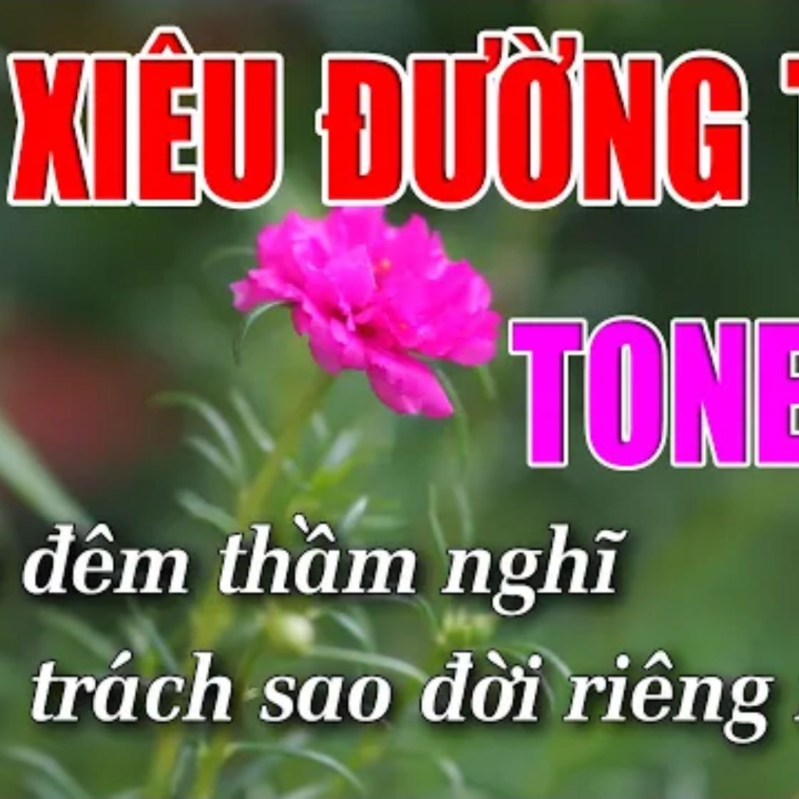 Liêu Xiêu Đường Tình Karaoke Tone Nữ Nhạc Sống 1990