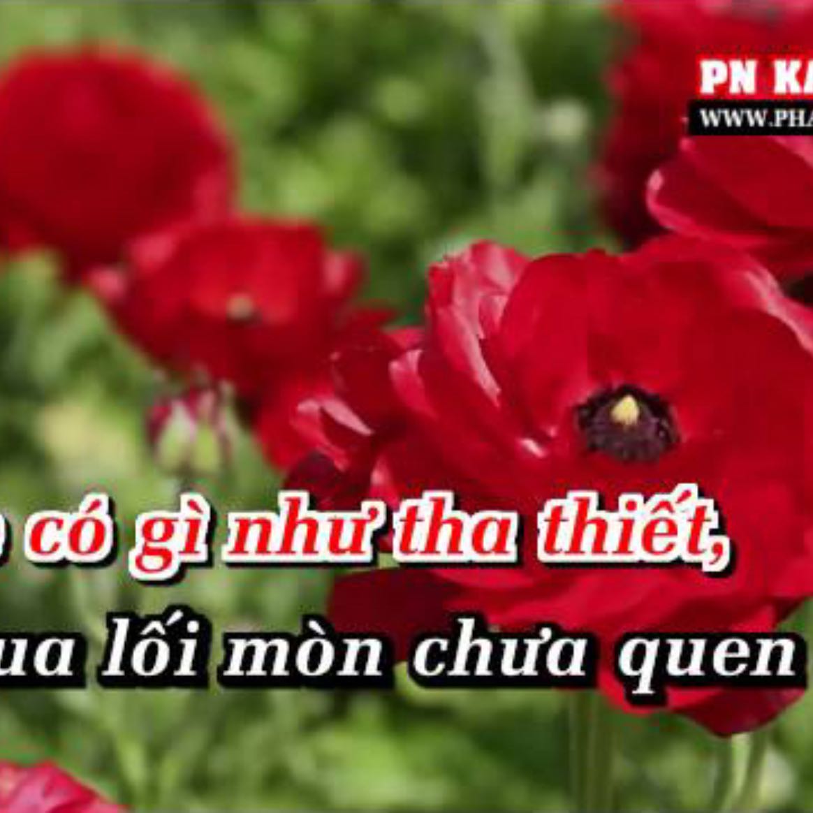 Em Đi Trên Cỏ Non (Karaoke) - Phương Mỹ Chi