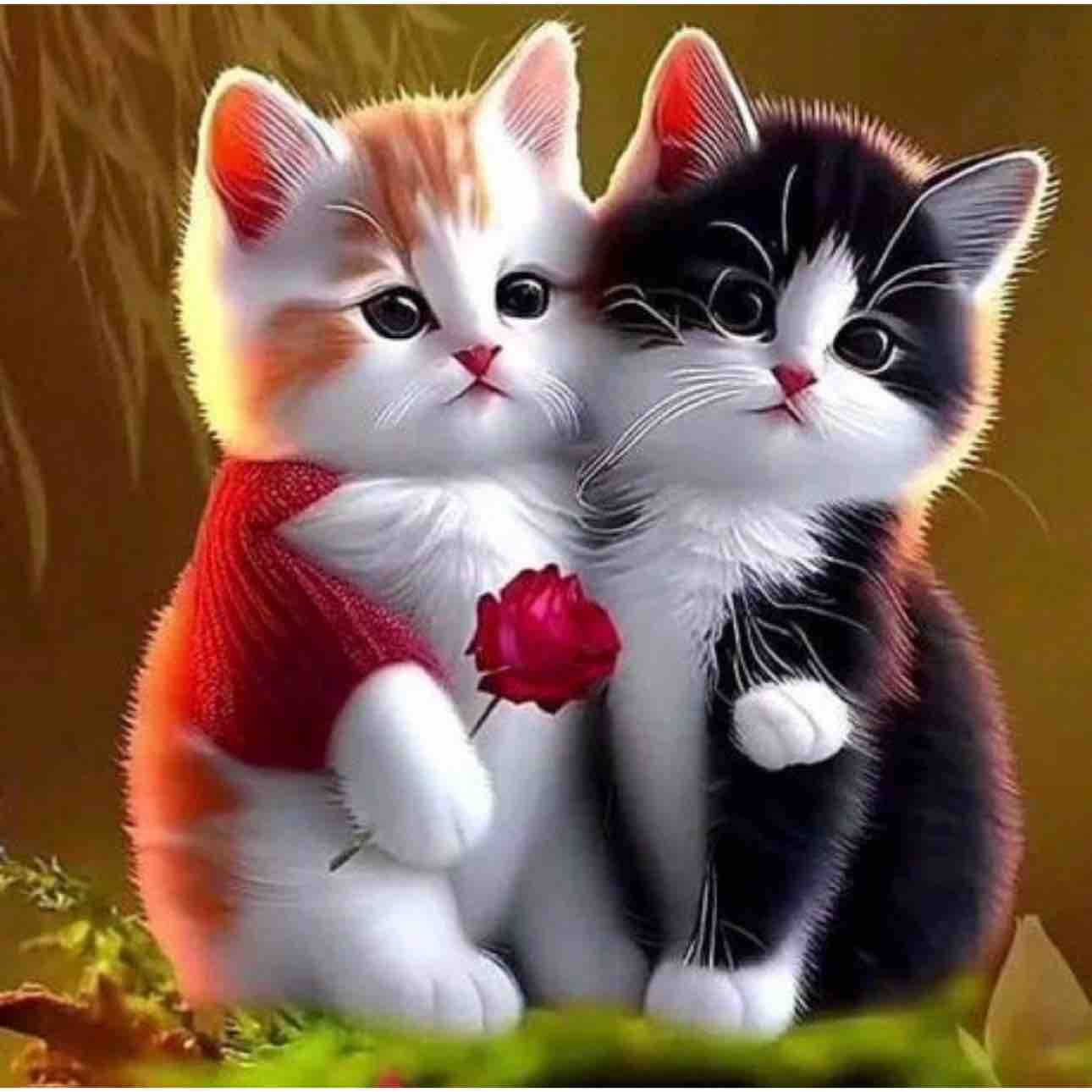 Đính Ước Karaoke Song Ca Nhạc Sống Dễ Hát Nhất - Nhật Nguyễn