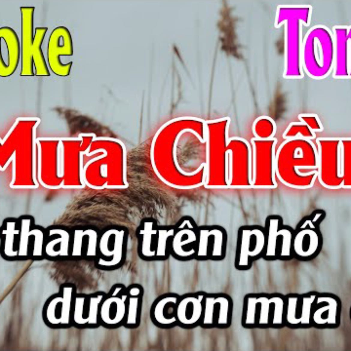 Mưa Chiều Karaoke Tone Nữ Karaoke Lâm Organ - Beat Mới