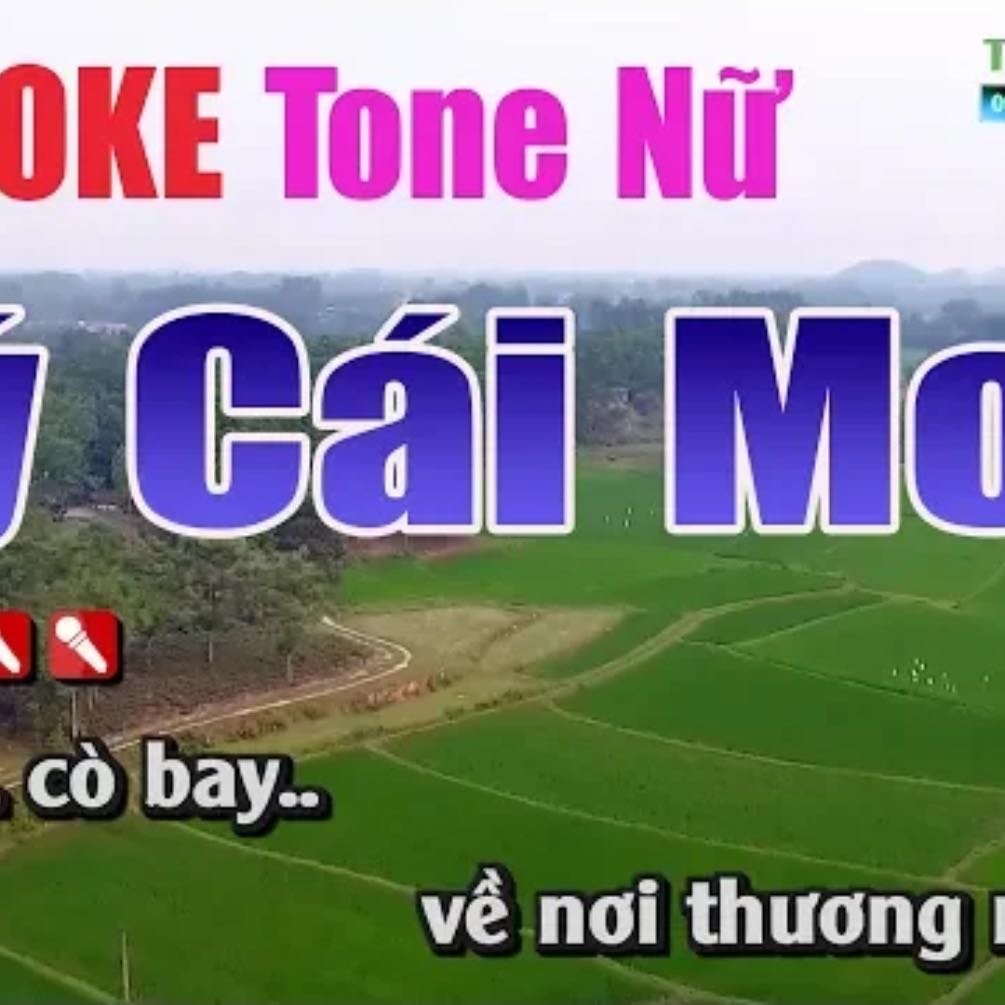 Lý Cái Mơn Karaoke ||Tone Nữ  - Nhạc Sống Thanh Ngân