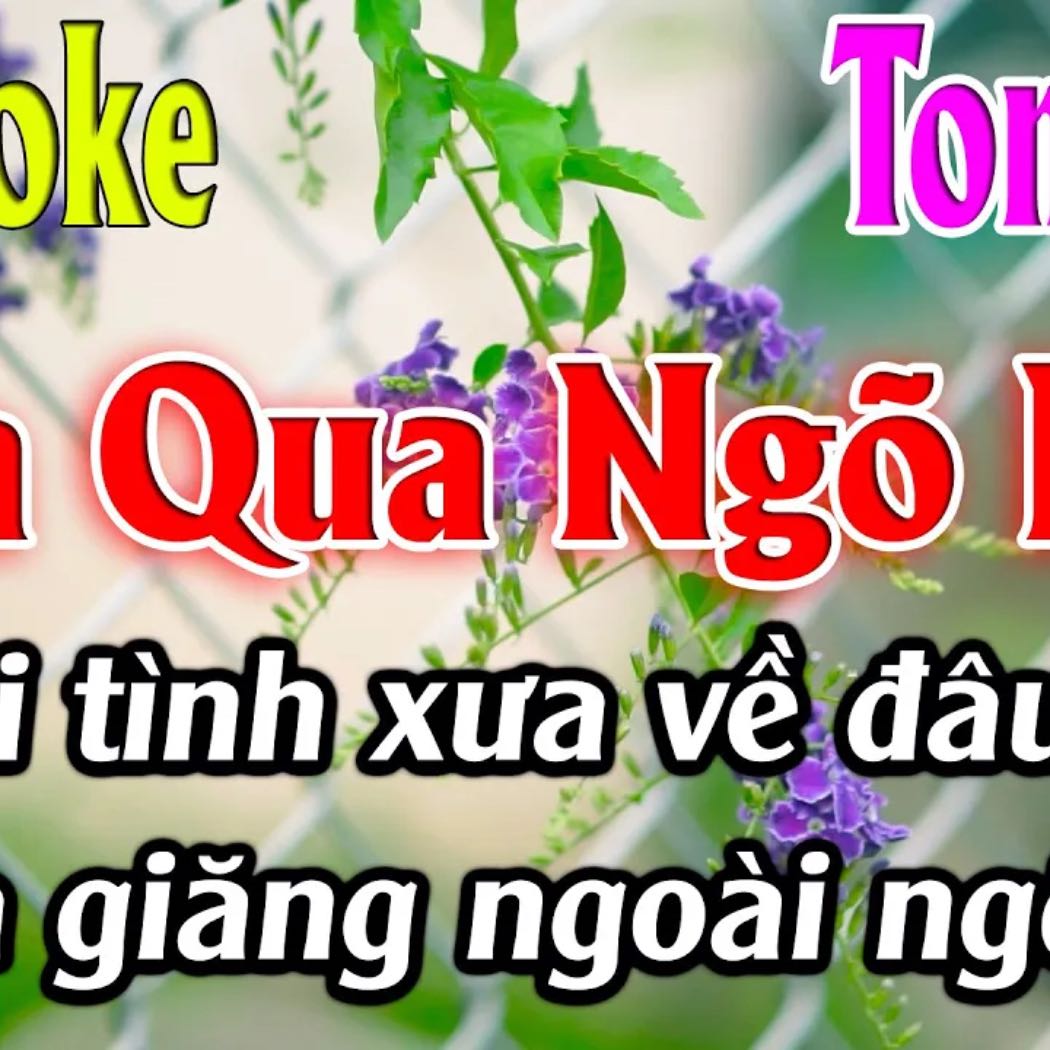 Mưa Qua Ngõ Nhỏ Karaoke Tone Nữ ( Em ) Karaoke Lâm Organ - Beat Mới