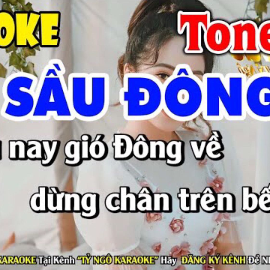 Karaoke Sầu Đông (Intro Nguyễn Hưng) - Tone Nữ - Nhạc Cha Cha Hay Lắm - Tỷ Ngô