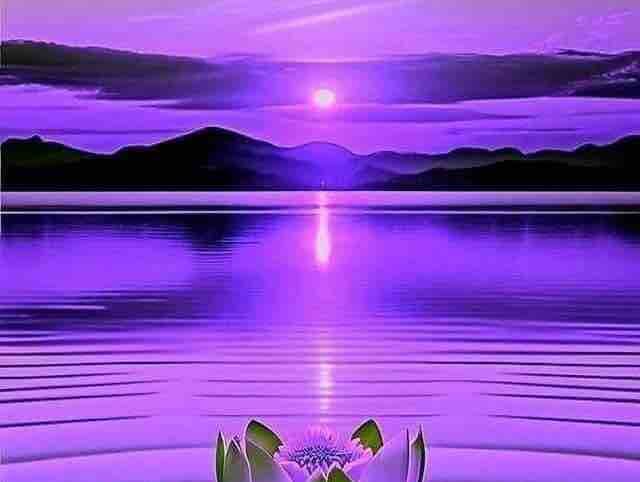 HOÀNG HÔN MÀU TÍM TB TRANG NGUYÊN 