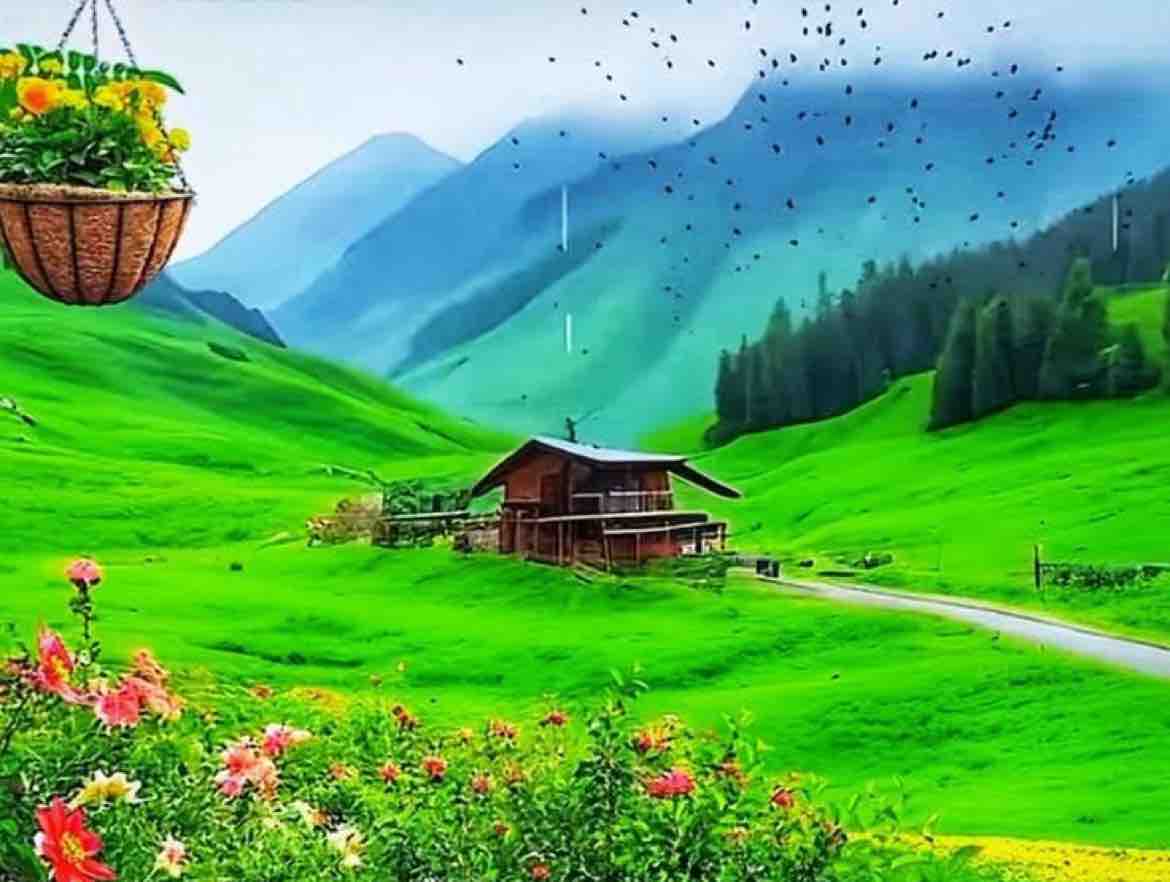 Buông Gánh Ưu Phiền - NhungHuynh Cover 