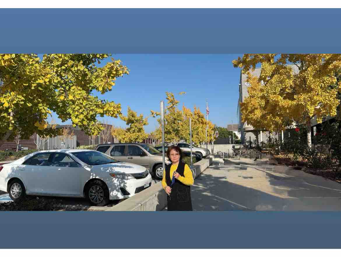                    LẺ BẠN -  nhunghuỳnh cover 