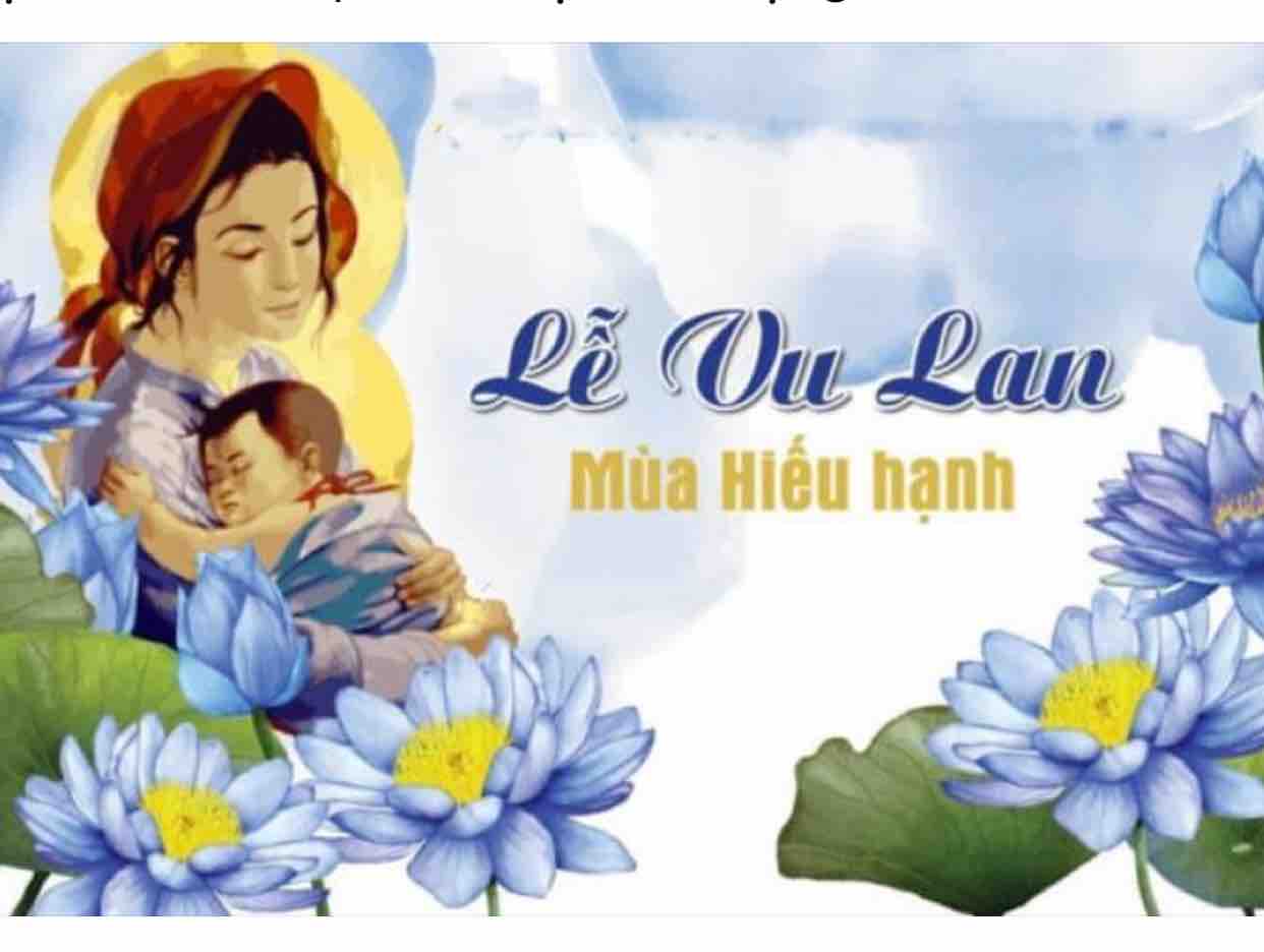 | TÂM SỰ NGƯỜI CÀI HOA TRẮNG |  