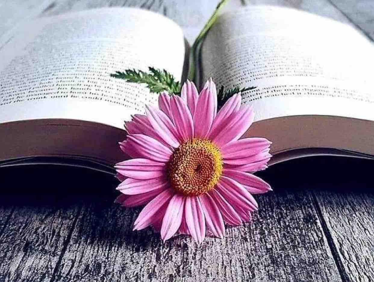 Ngẫm Lại Chuyện Đời 