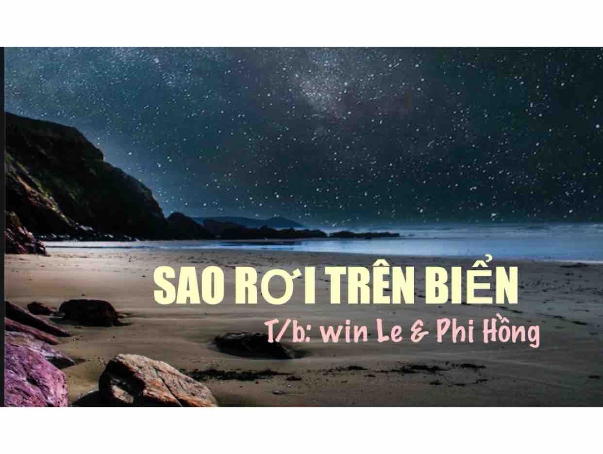Sao Rơi Trên Biển