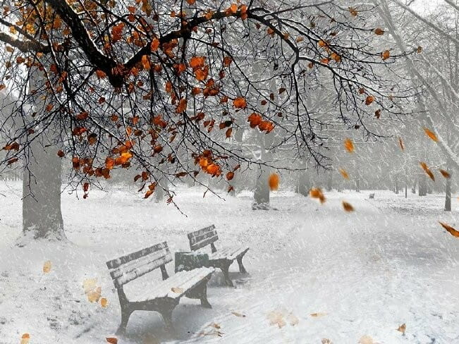 Đông Dịu Ngọt  - Đức Trí