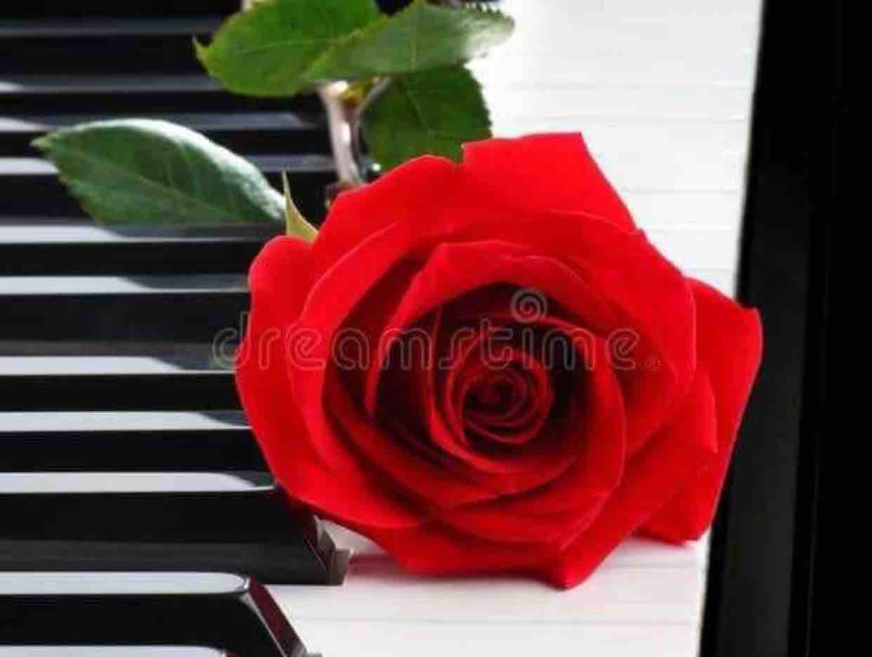 ♥️♥️NHỚ VỀ EM♥️♥️
