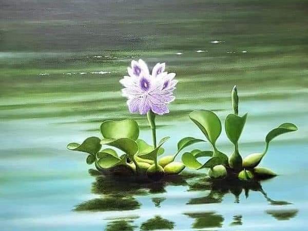 Yêu Em Âm Thầm - Trúc Hồ