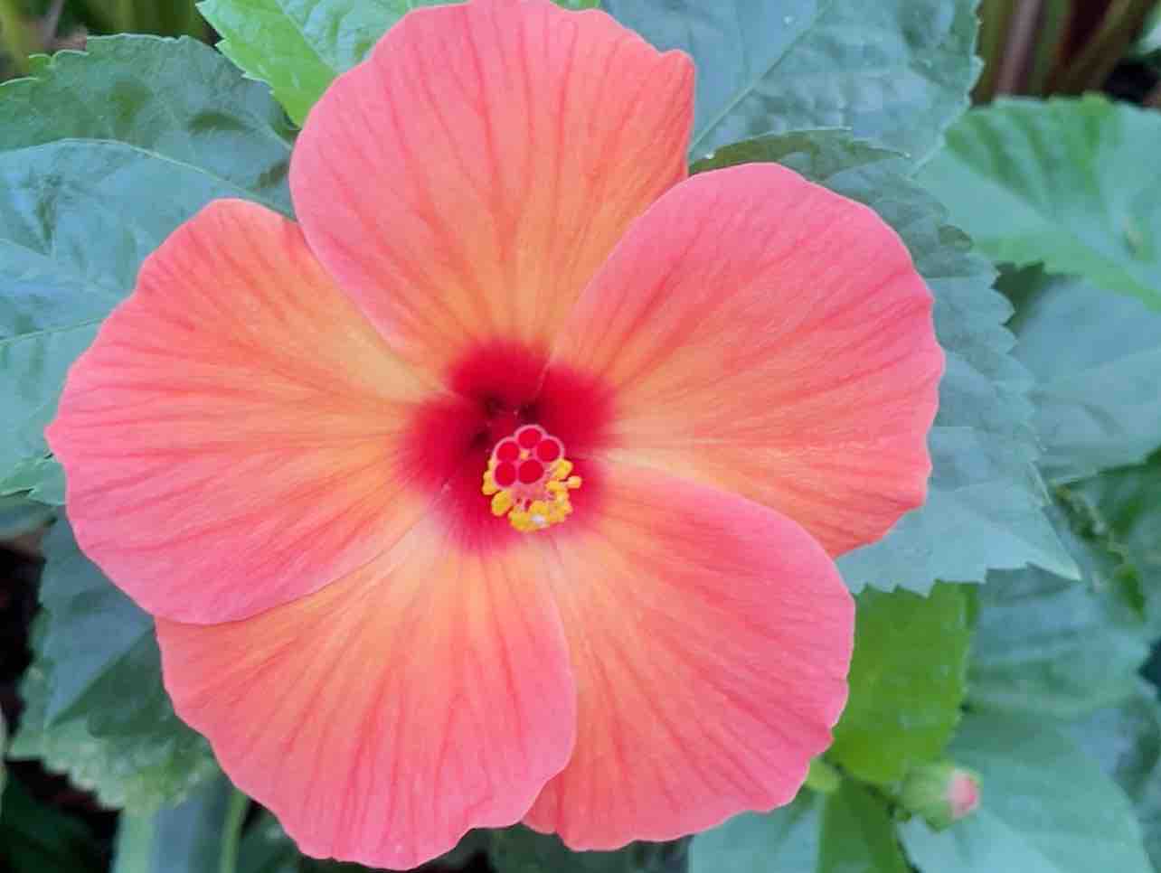 Một thuở đam mê 