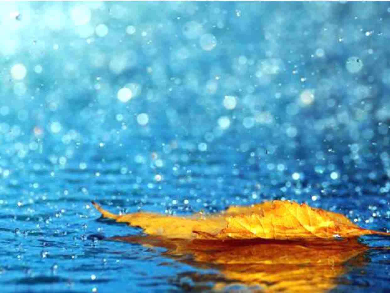 Giấc Ngủ Cô Đơn