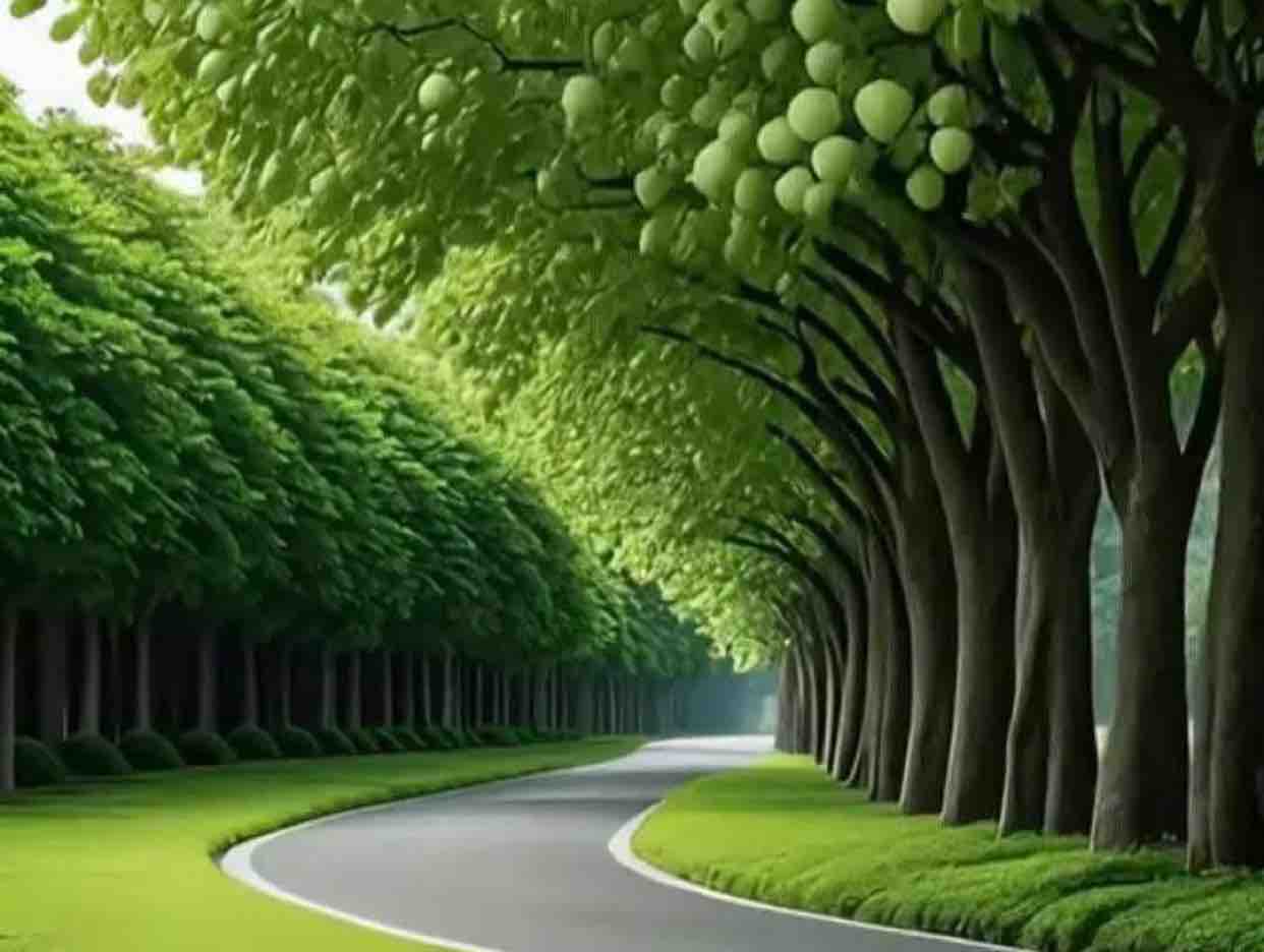 Con Đường Màu Xanh