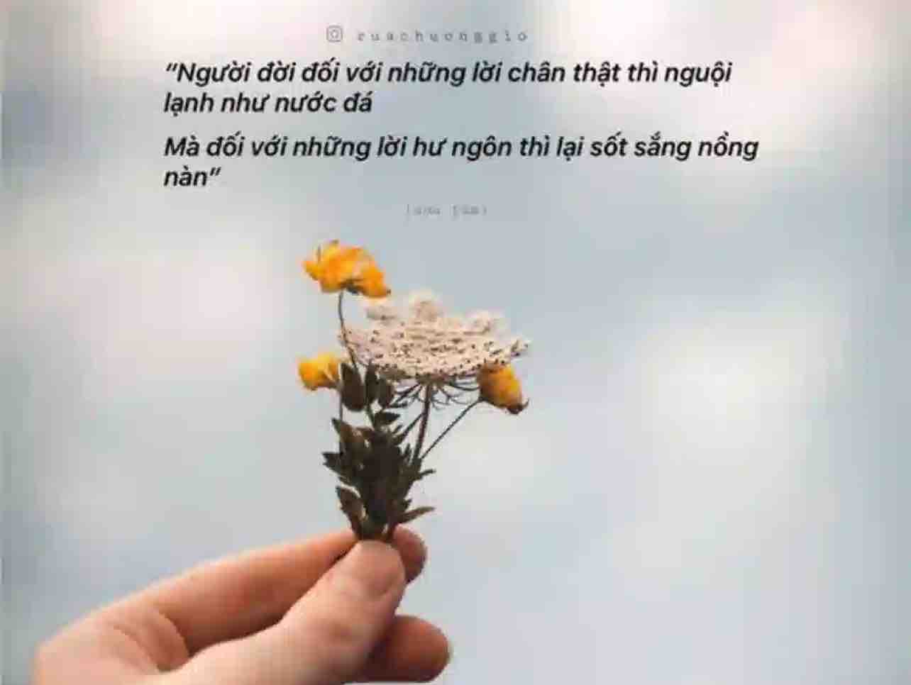 MOT DOI YEU ANH-Trần Thiện Thanh -Chi LA ft Nam