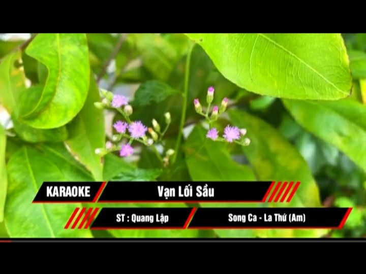 Vạn Lối Sầu (Song Ca)