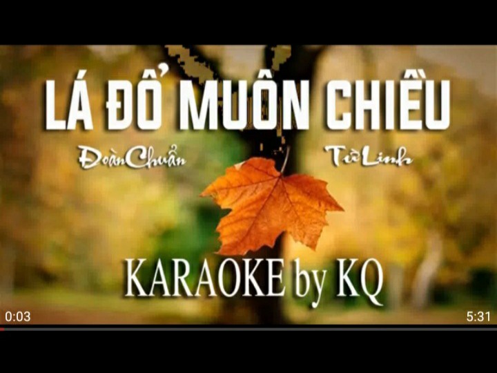 Lá Đổ Muôn Chiều (Song Ca)