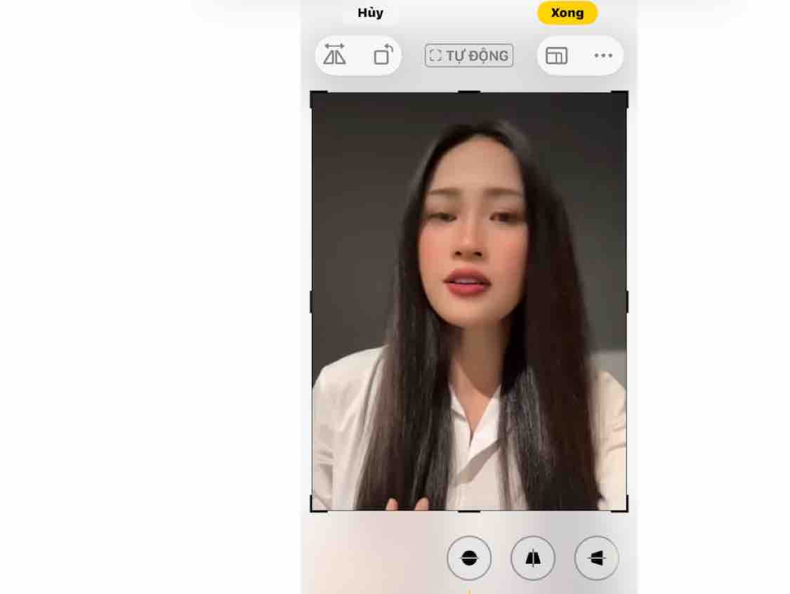 Đời Tôi Chỉ Yêu Một Người 