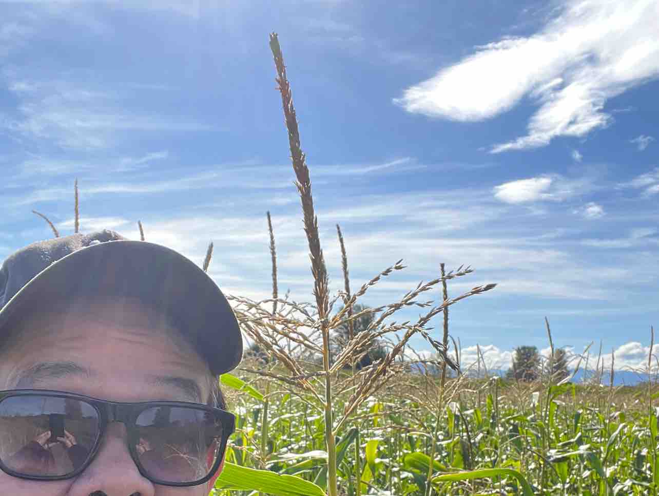 GIỌT LỆ CHO NGÀN SAU