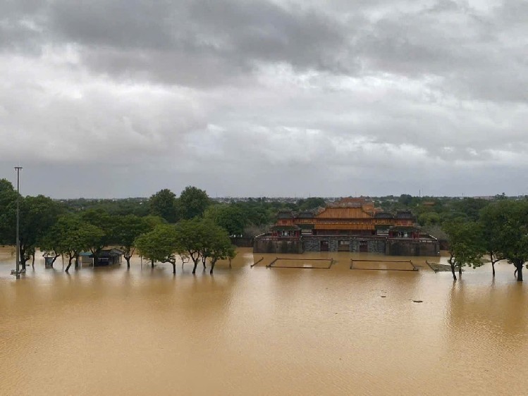 189. Tình như lá bay xa⚡️Ồn&Rose⚡️