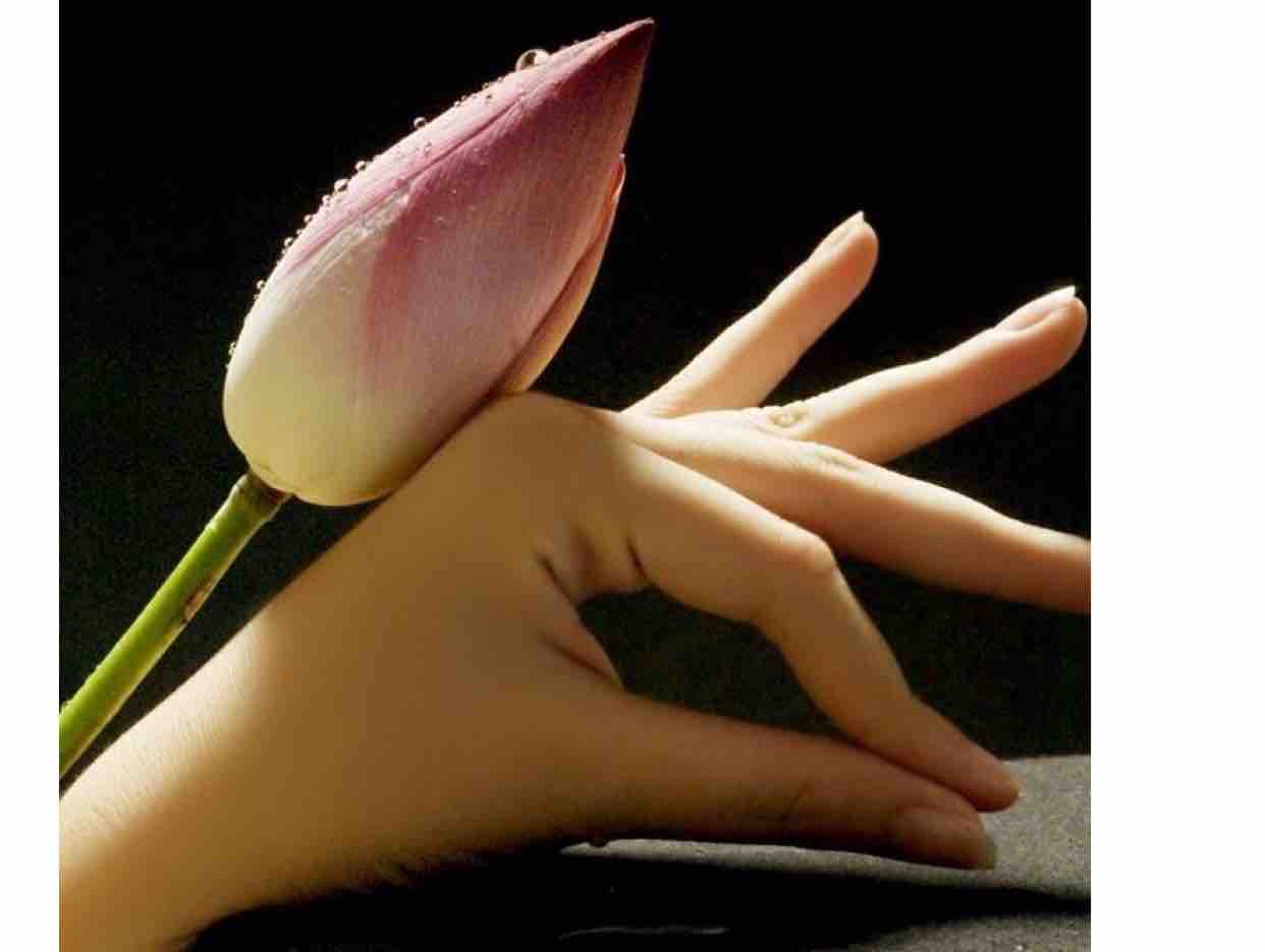 ❤️☘️Gõ Cửa Trái Tim ☘️❤️ Trang Như