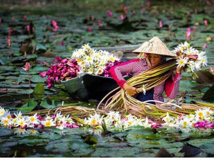 ☘️HỒN QUÊ~May&Nhung☘️