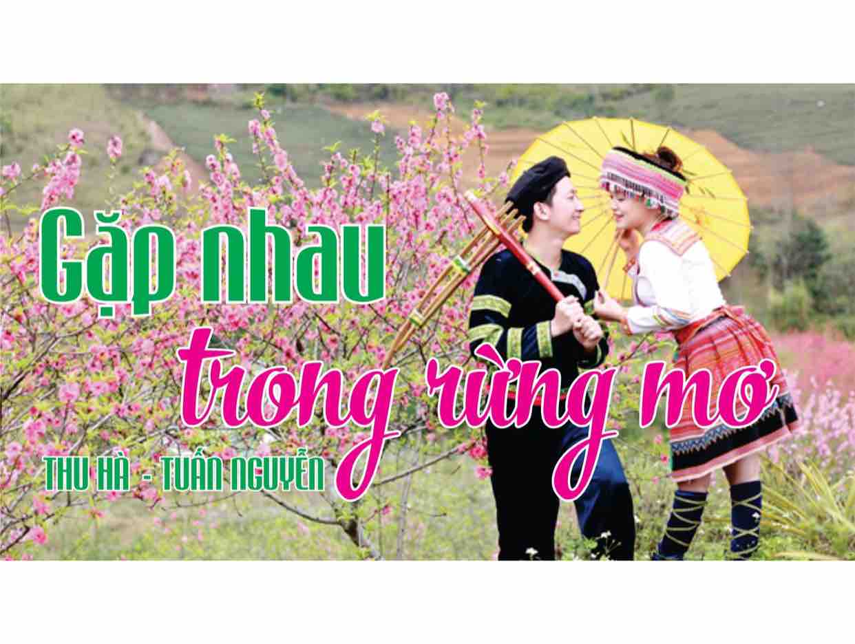 Gặp Nhau Trong Rừng Mơ   