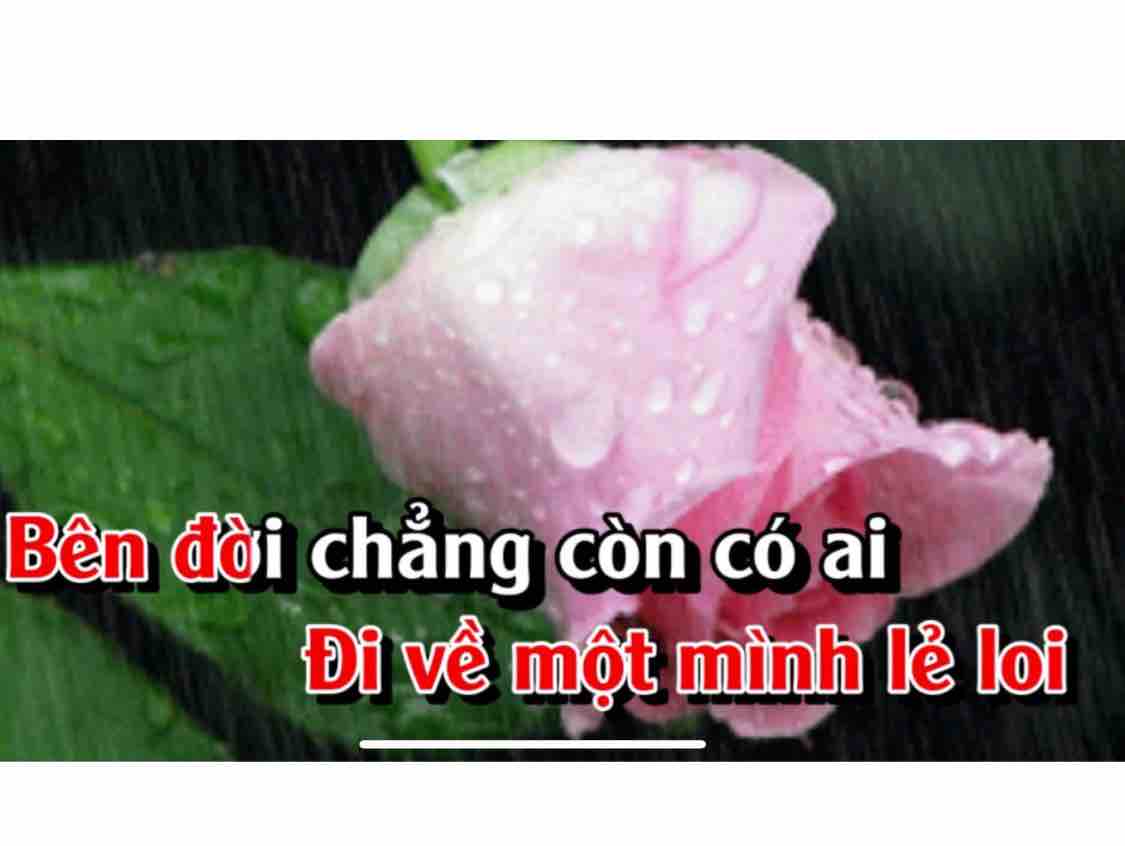 Cho Đến Cuối Cuộc Đời - NL & HB