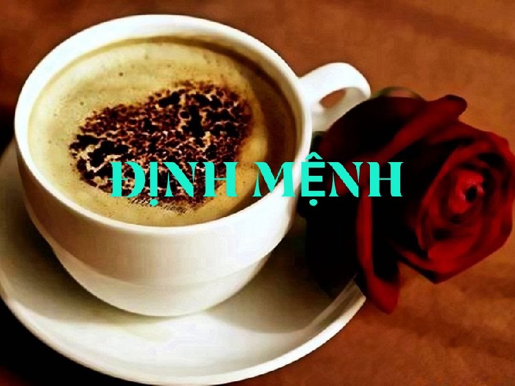 ☕️ Nhị Nguyen ❤️ Thuy Linh ☕️