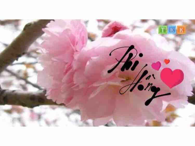 Nếu xuân Này Vắng Anh 