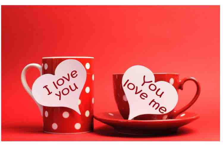 Đêm Nhớ Người Tình - ❤️Nguyet Ha ❤️