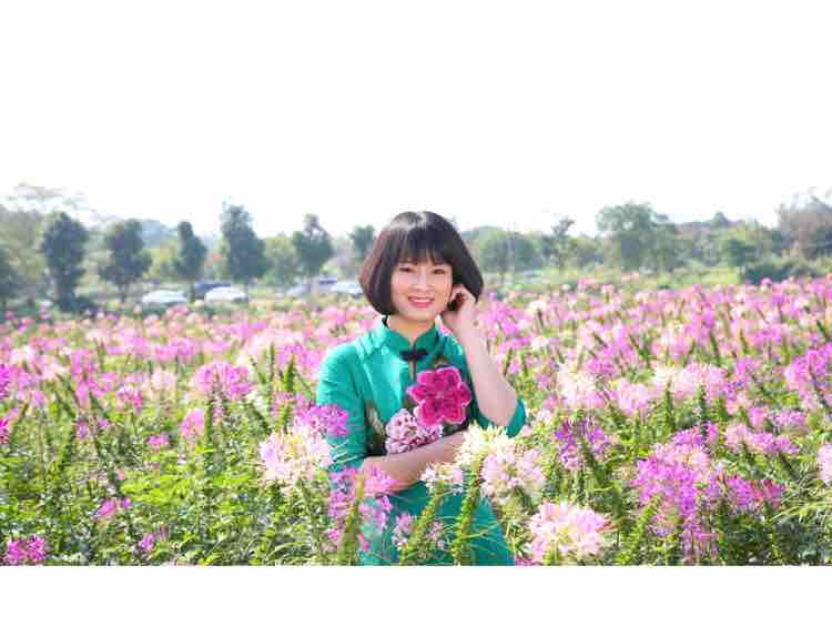 Dem Nho Nguoi Tinh❤️Nhàn Trần❤️