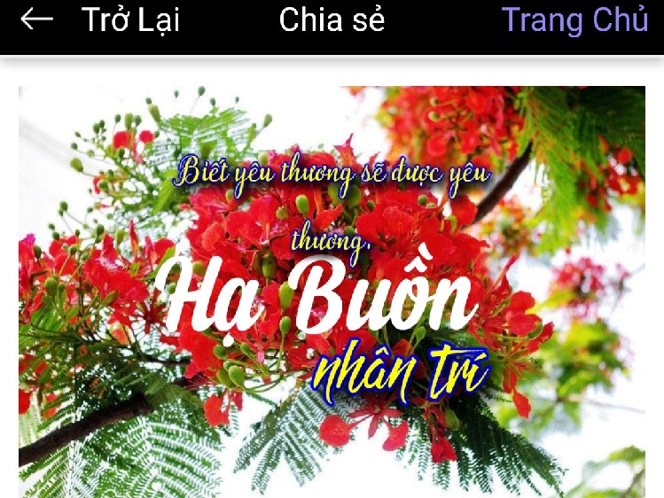 ⭐️ Hạ Buồn - Nhân Trí ⭐️