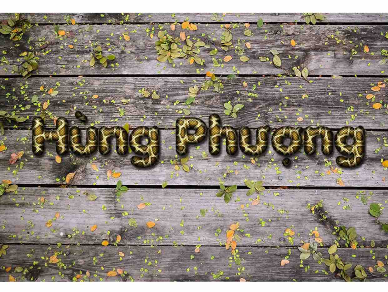 ⭐️Vì Lỡ Thương Nhau⭐️H❤️P⭐️