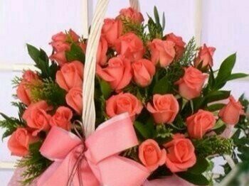 Nhứng đồi hoa sim ,,,pk nếm mời sc cùng nhé,,,,