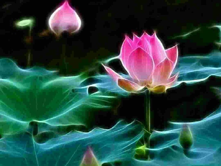❤Nếu Được Làm Người Tình❤