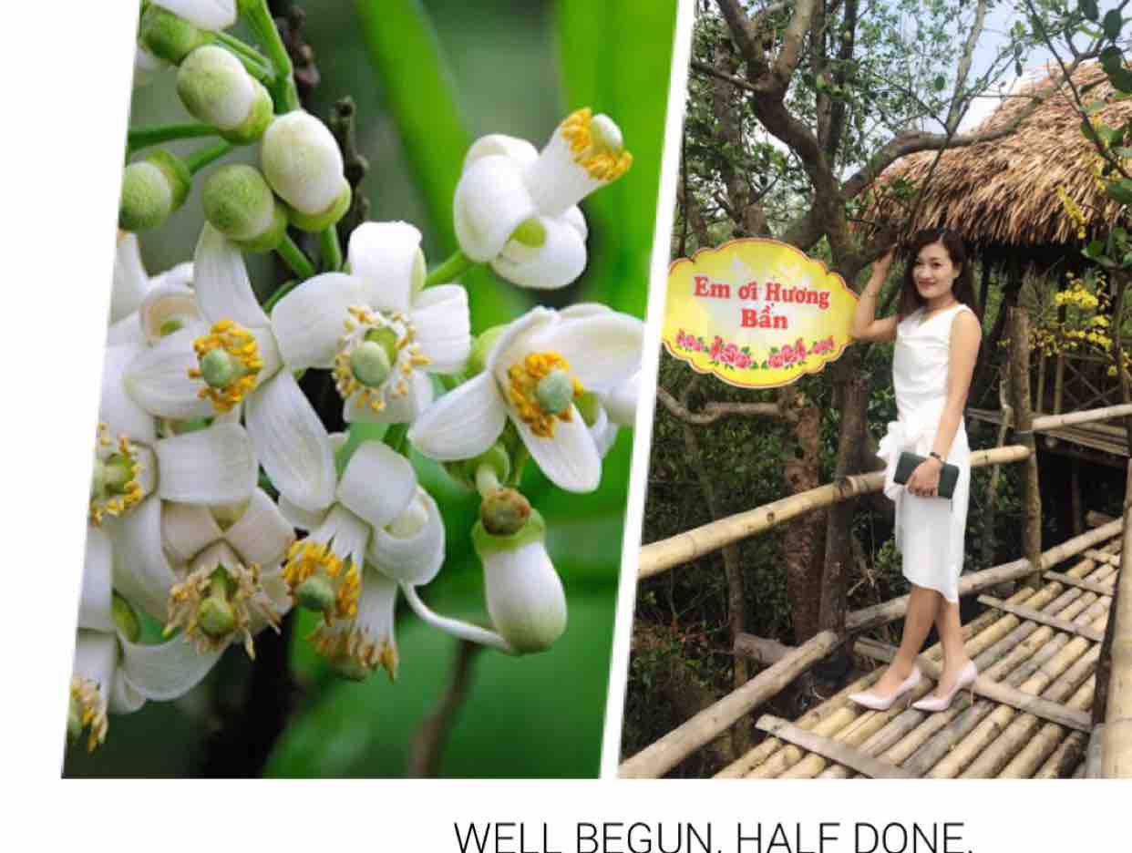 ⚜️☘️Hương Thầm ☘️