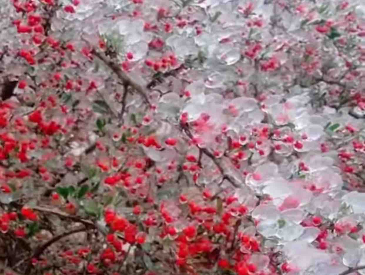 Ta Tu Trong Đêm ❣️MD & RubyH